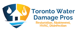 Toronto Mold Asbestos Removal Pros