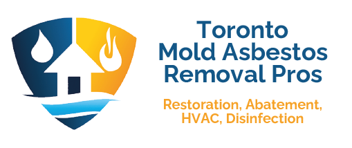 Toronto Mold Asbestos Removal Pros