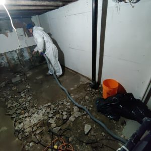 Toronto Mold remediation basement-1