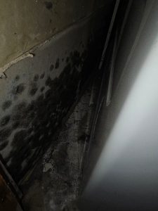 Mold removal in Toronto- mold growth hidden behind basement wall