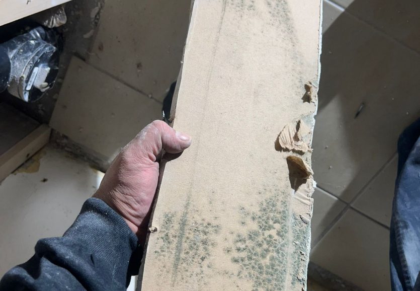 Mold testing Toronto found when removing drywall