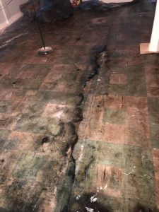 Toronto Mold remediation_Mold found under flooring