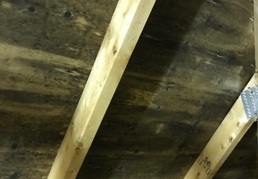 Toronto attic mold remediation-Attic mold_1