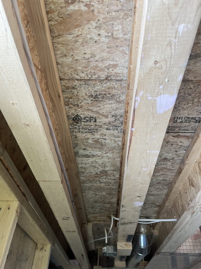 Mold in drywall in York, ON