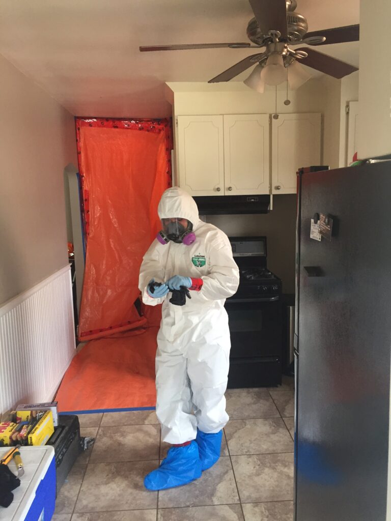 Mold removal in kitchen in York, ON